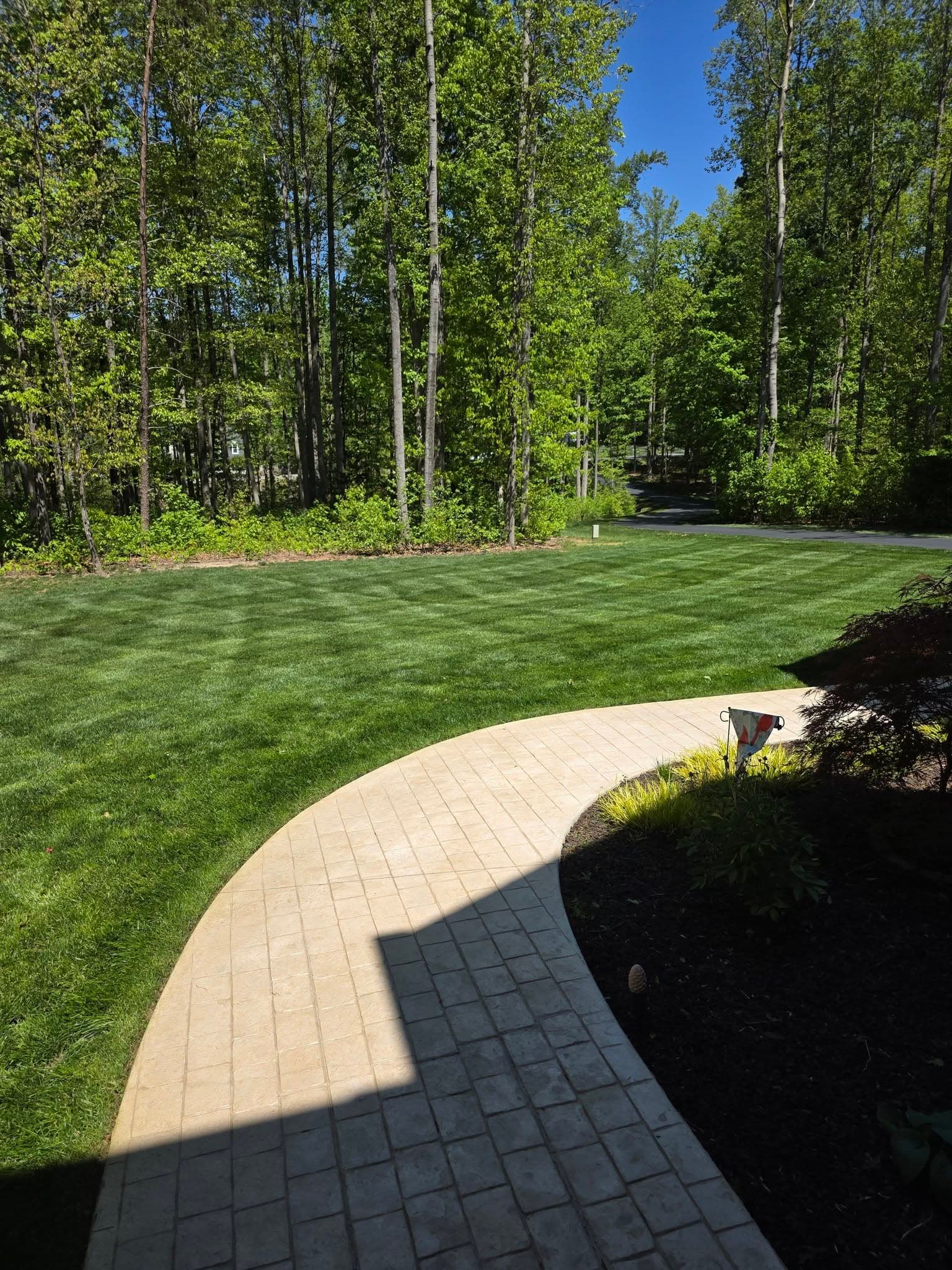 Large established native landscape with tropical plantings around a brick home