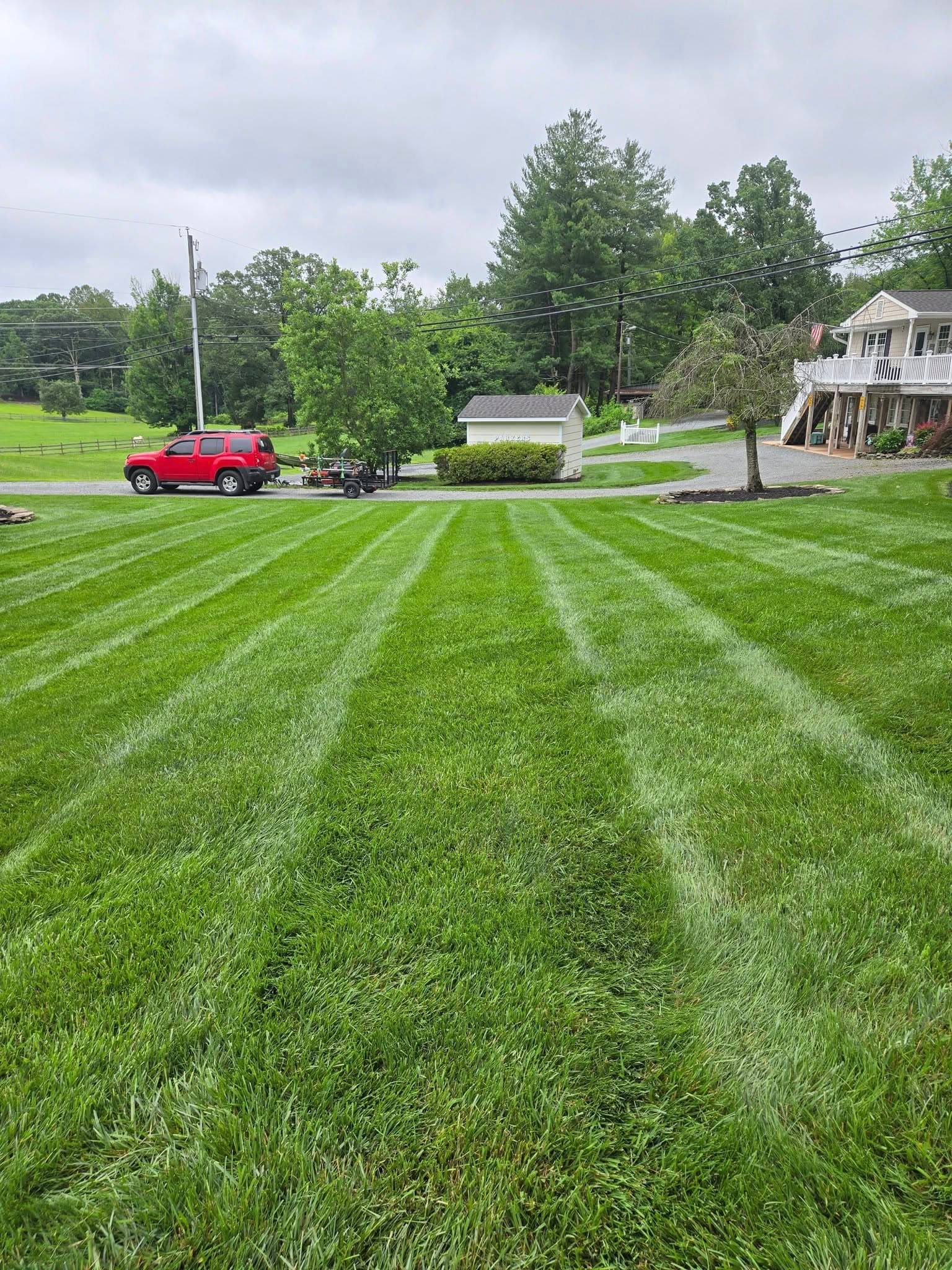 Lawn Maintenance